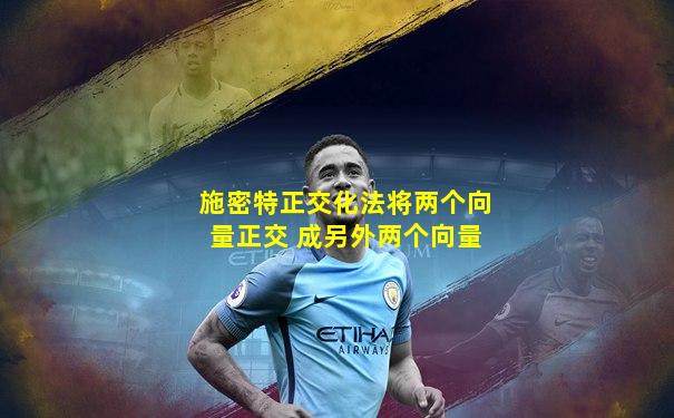 施密特正交化法将两个向量正交 成另外两个向量